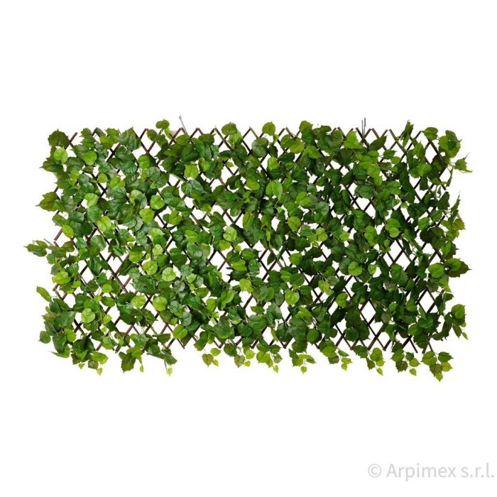 ESTENSIBILE EDERA CM.100